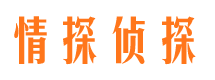 桃山市侦探调查公司